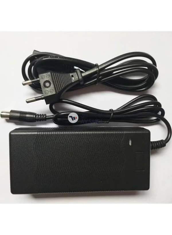 Generic Electric Scooter Battery Charger