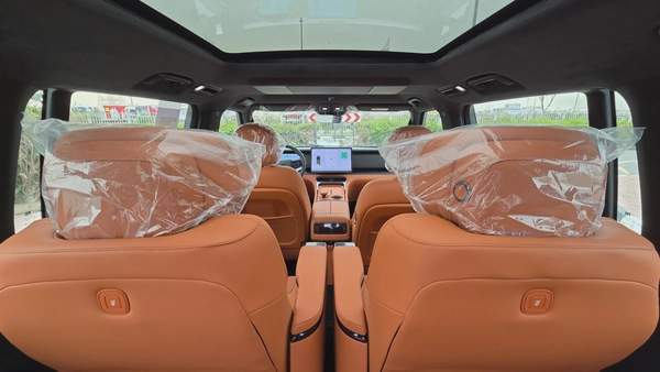 ROX ADAMAS (Green Orange)