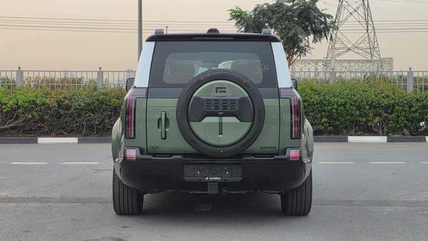 ROX ADAMAS (Green Orange)