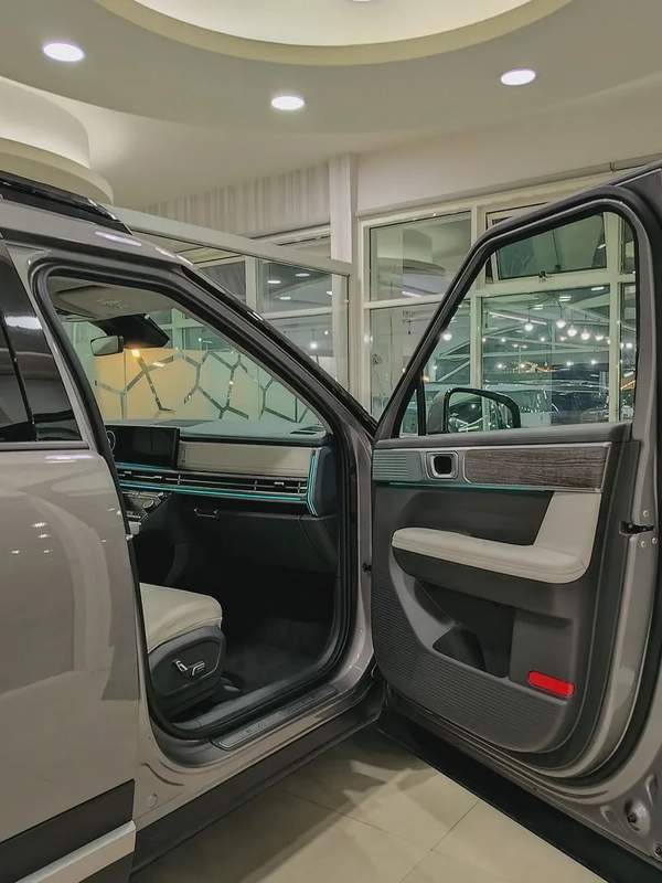 2024 Hyundai Santa Fe Calligraphy - Chinese Specs - Brand New