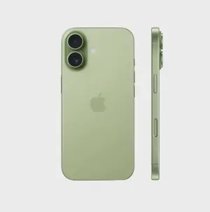 Apple iPhone 17 256GB Sage 5G (eSim only) With FaceTime - International Version