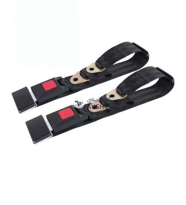FED 2-Piece ZY-352 Retractable 2 Point Car Safety Seat Lap Belt Set