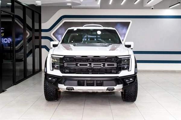 Ford F-Series Pickup Raptor