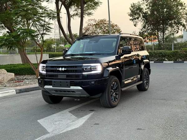 BYD Leopard 5 Other