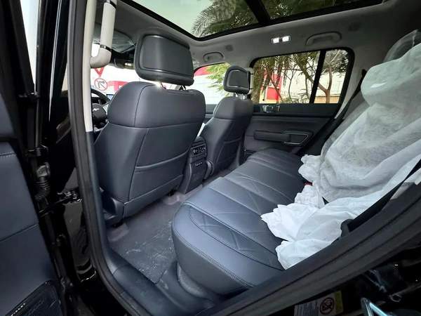 BYD Leopard 5 Other