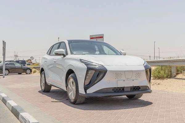 Dong Feng Forthing Friday - Electric - 410km - 2025 (Export)