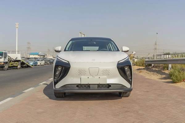 Dong Feng Forthing Friday - Electric - 410km - 2025 (Export)