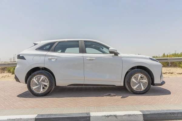 Dong Feng Forthing Friday - Electric - 410km - 2025 (Export)