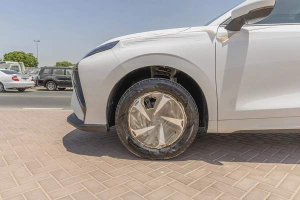 Dong Feng Forthing Friday - Electric - 410km - 2025 (Export)