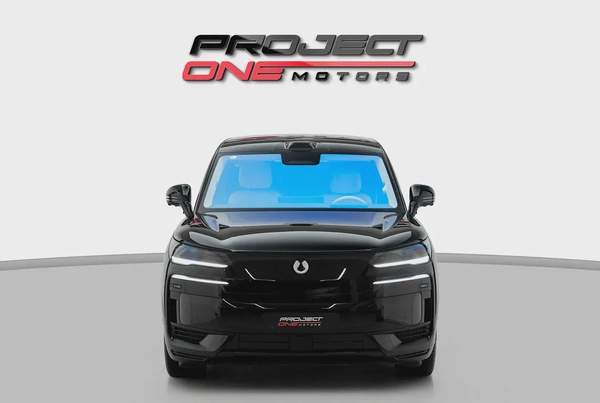 2025 DENZA N9 FLAGSHIP