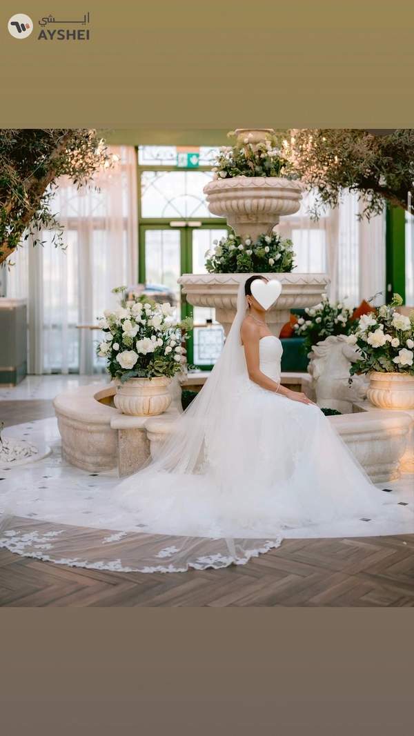 Elegant Wedding Dress + Matching Veil for Sale