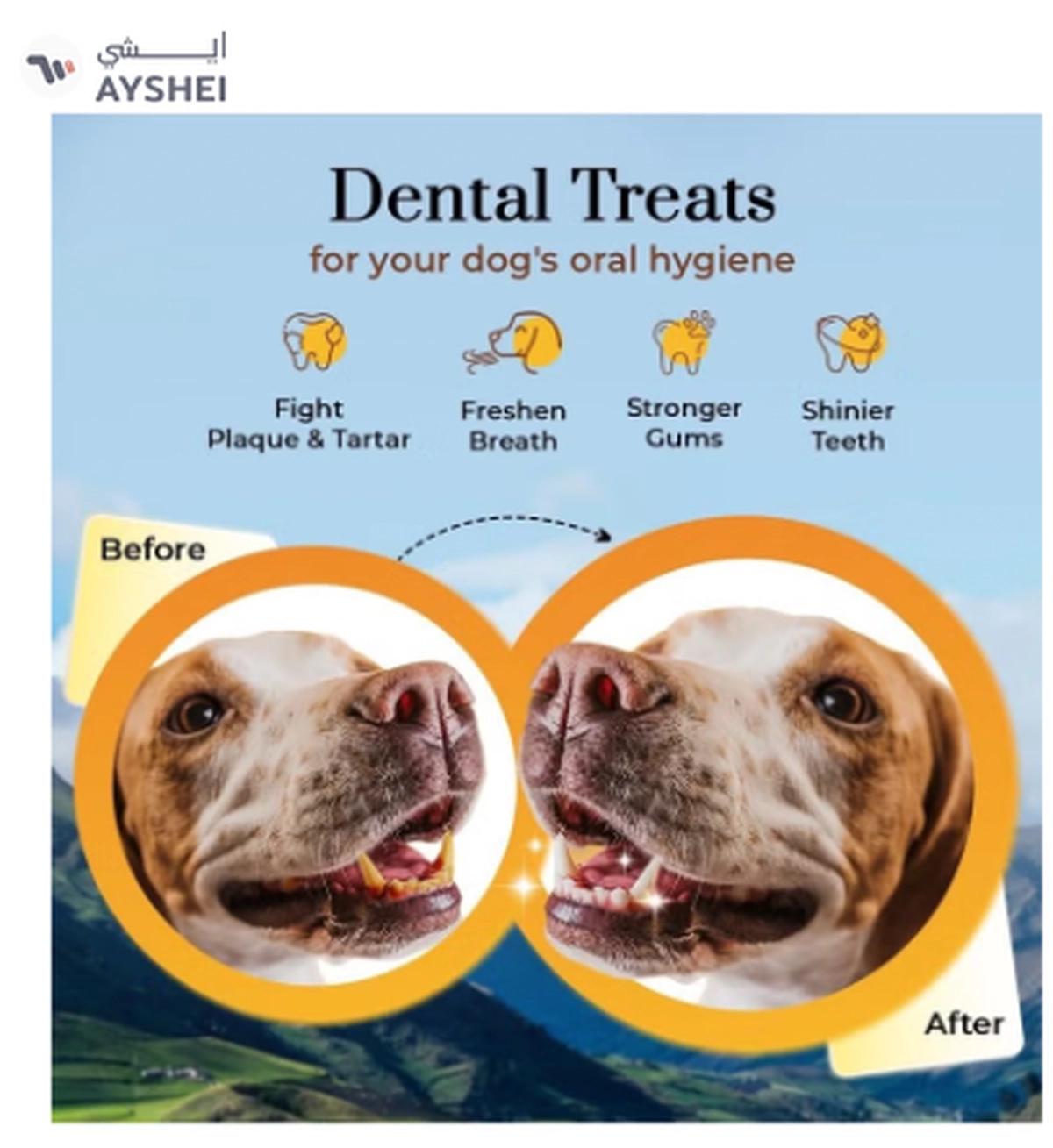 Dogsee Turmeric Small Bars: Long-Lasting Dental Chews for Small Dogs 100g-3-3