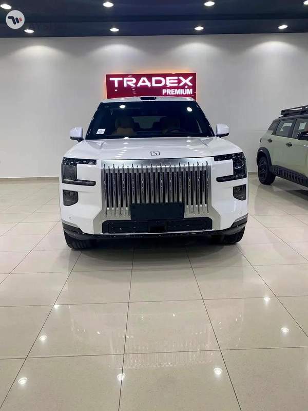 Zeekr 9 Luxury
