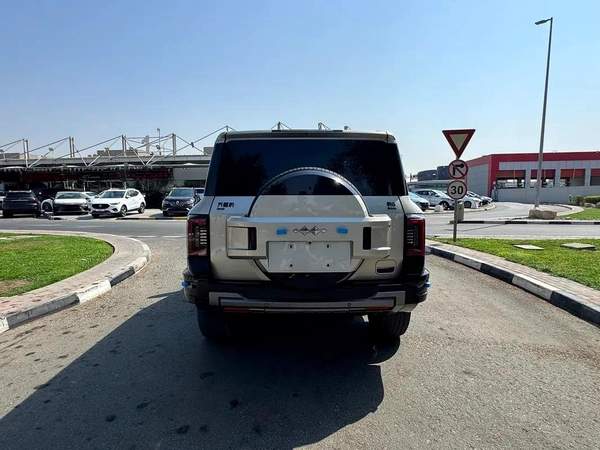 BYD Leopard 8 Other