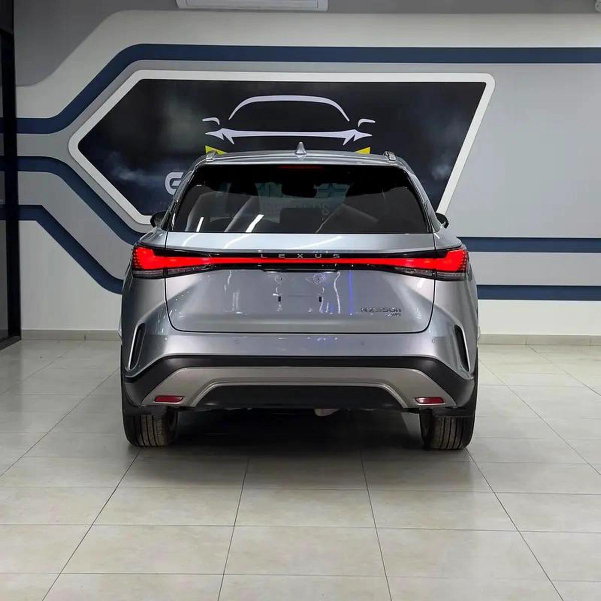 Lexus RX-Series RX 350 Platinum-15-15