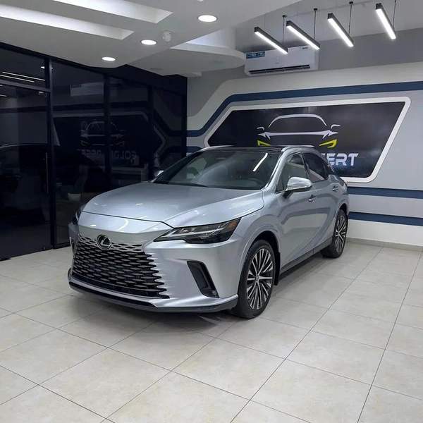 Lexus RX-Series RX 350 Platinum