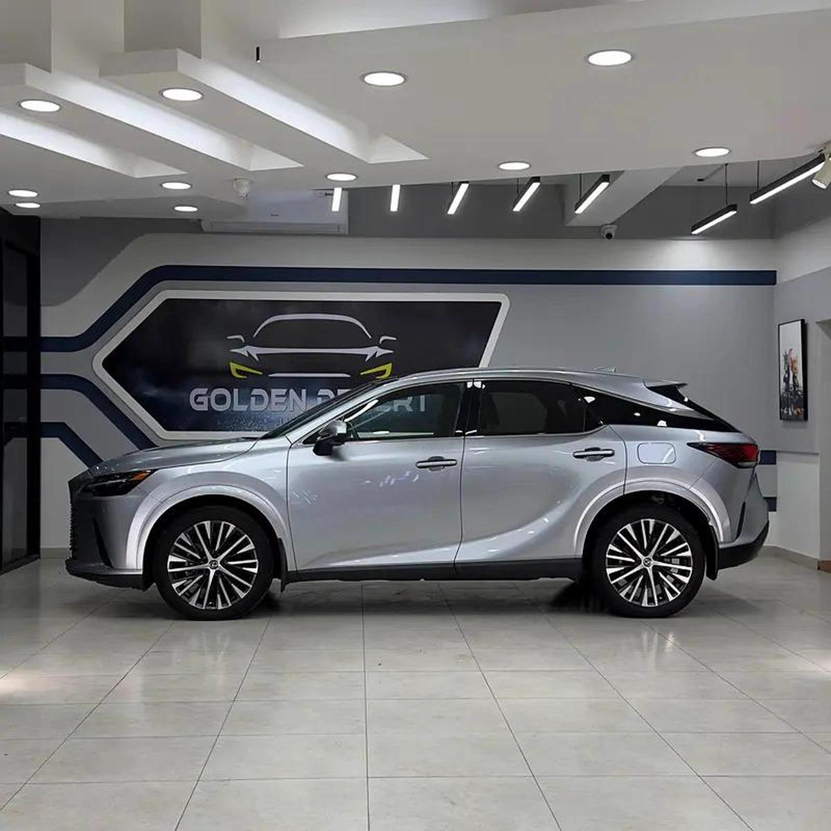 Lexus RX-Series RX 350 Platinum-9-9
