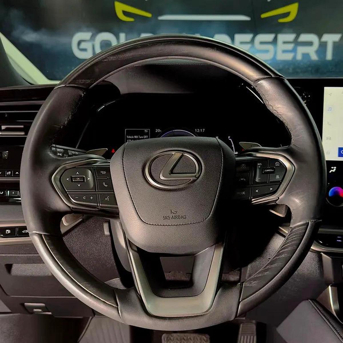 Lexus RX-Series RX 350 Platinum-14-14