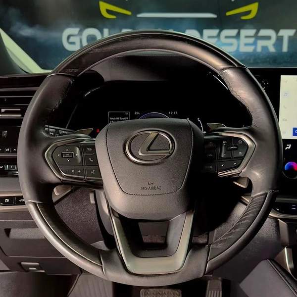 Lexus RX-Series RX 350 Platinum