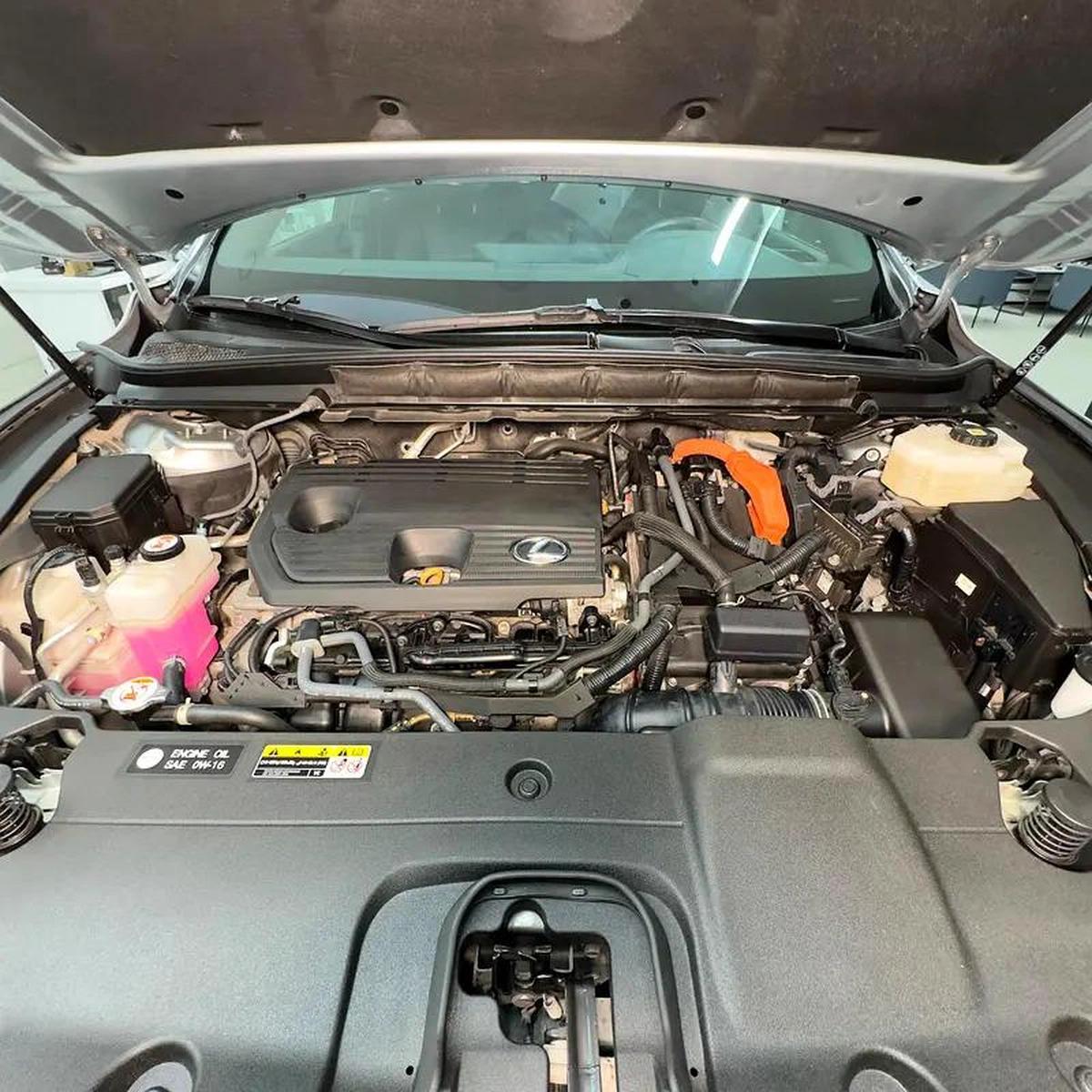 Lexus RX-Series RX 350 Platinum-10-10