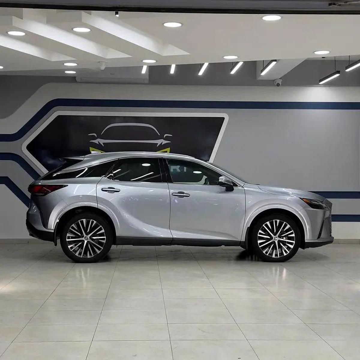 Lexus RX-Series RX 350 Platinum-7-7
