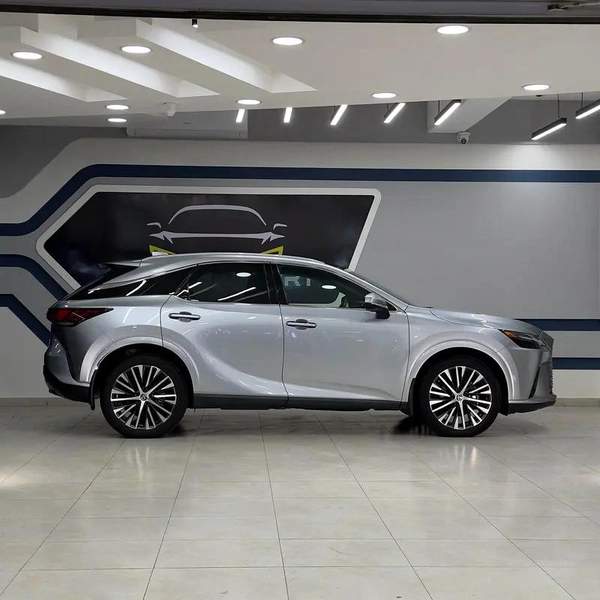 Lexus RX-Series RX 350 Platinum
