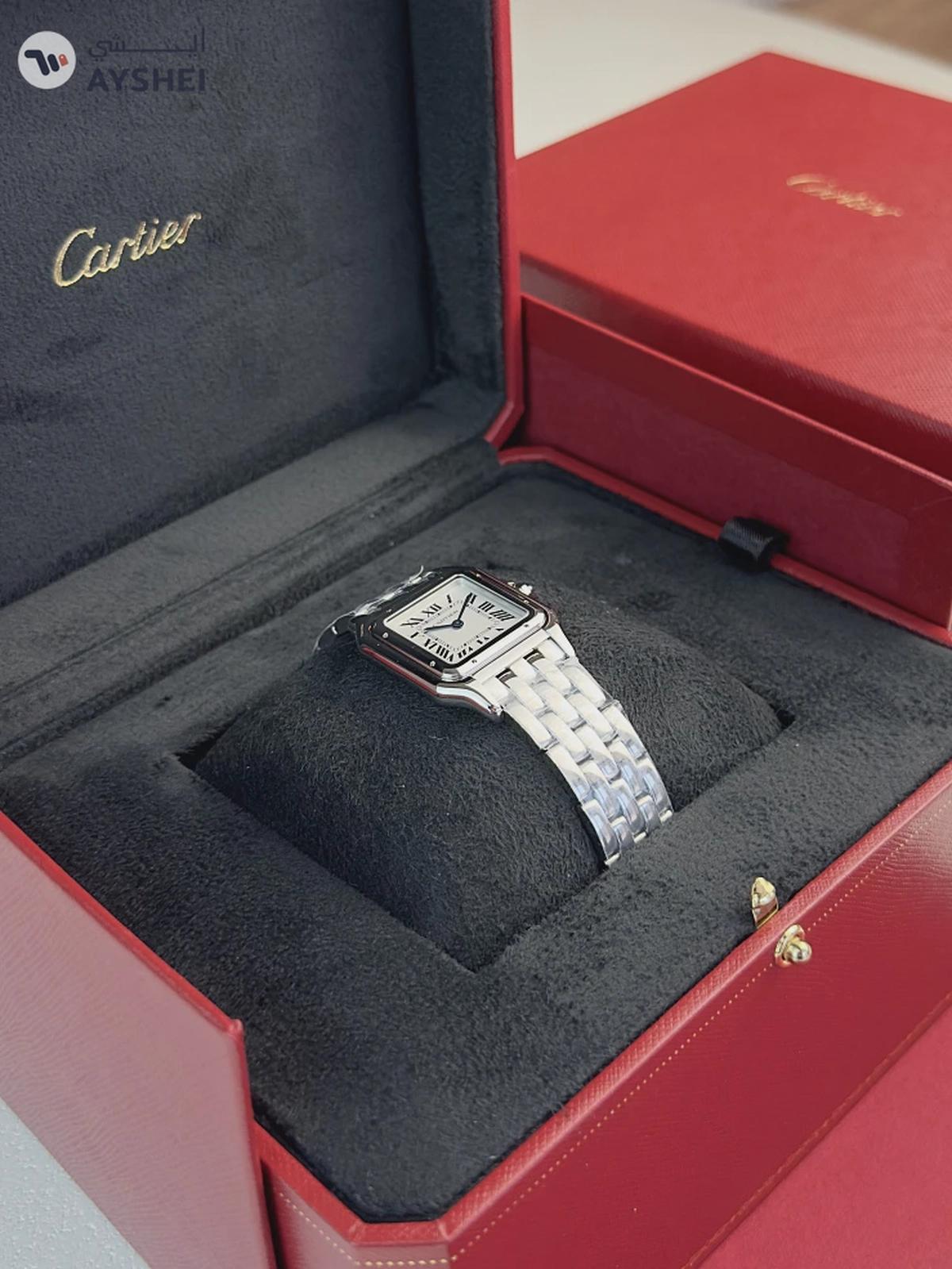 Cartier PANTHÈRE DE CARTIER Steel Medium-2-2