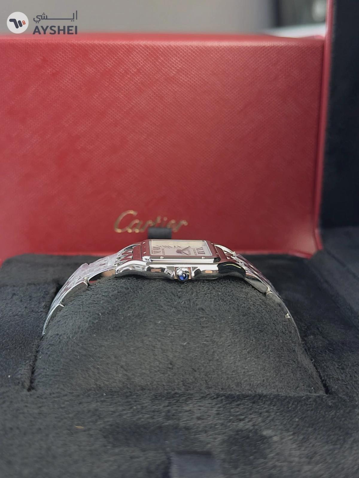 Cartier PANTHÈRE DE CARTIER Steel Medium-1-1