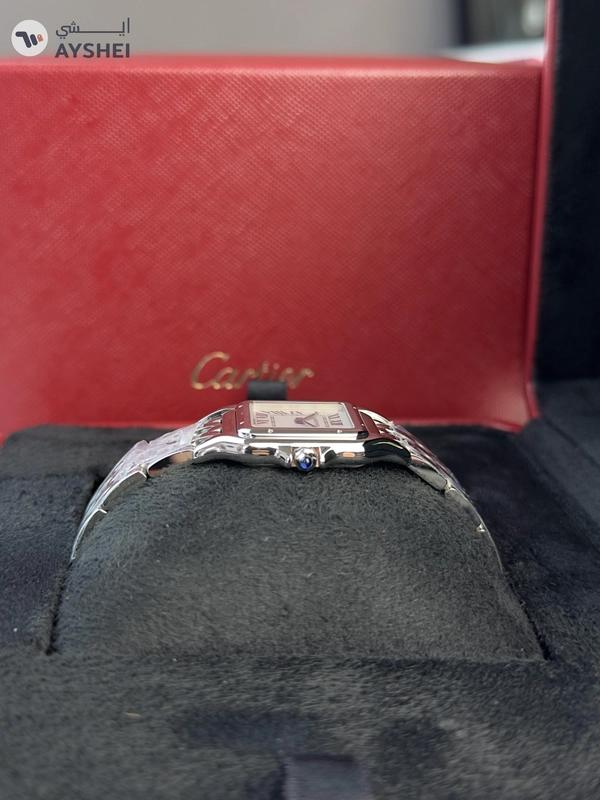 Cartier PANTHÈRE DE CARTIER Steel Medium