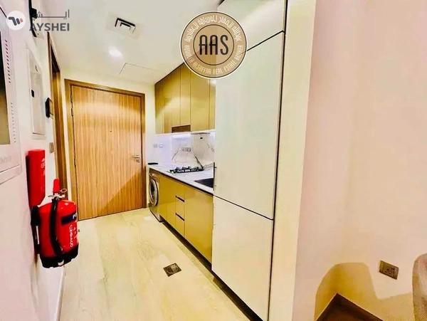 Fully furnished studio •• luxurious studio •• well maintained •• big terrace