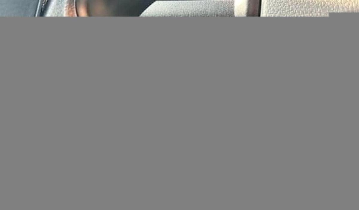Toyota Land Cruiser Pick Up LAND CRUISER LC79 4.2L V6 DIESEL 2025 0KM-16-16