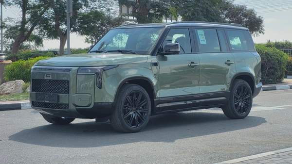 ROX ADAMAS (Green Purple)