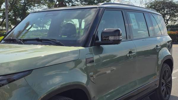 ROX ADAMAS (Green Purple)