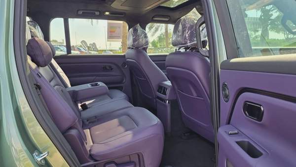 ROX ADAMAS (Green Purple)