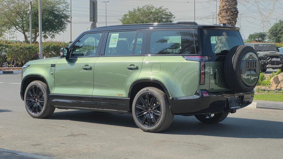 ROX ADAMAS (Green Purple)-10-10