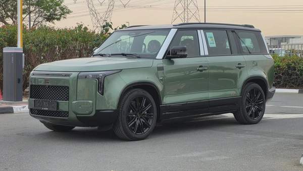 ROX ADAMAS VIP (Green Orange)