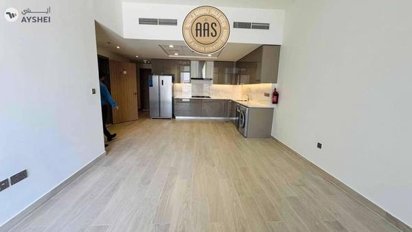 Spacious 3Bhk || Burj khalifa View || Chiller Free