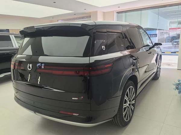 Denza N9