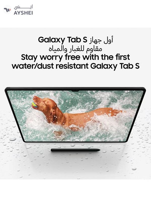 Samsung Galaxy Tab S9 Graphite 12GB RAM 256GB 5G