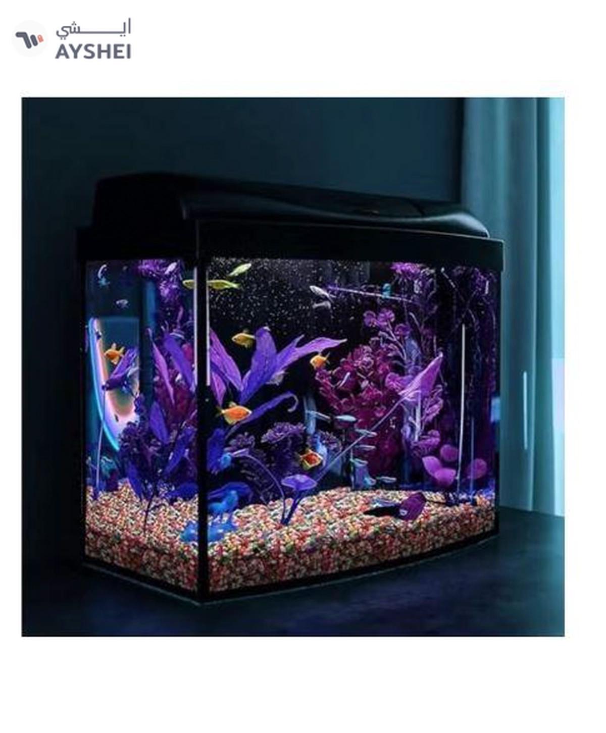 Karis Mixed Colored Stones-1kg-1-portrait