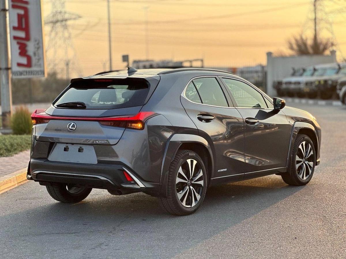 Lexus UX250h Premium F- Sport Hybrid-2-2