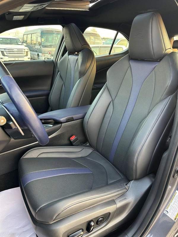 Lexus UX250h Premium F- Sport Hybrid