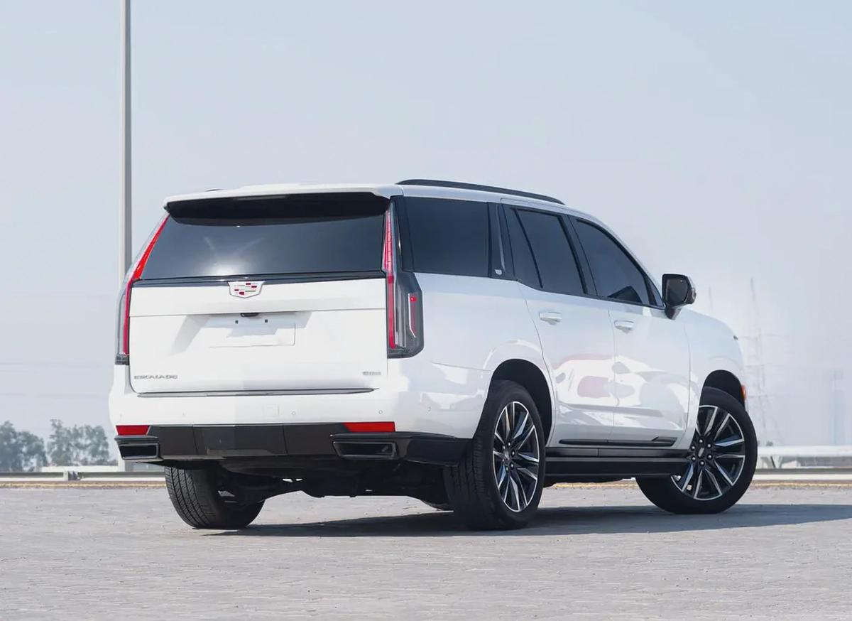 ESCALADE 2021-3-3