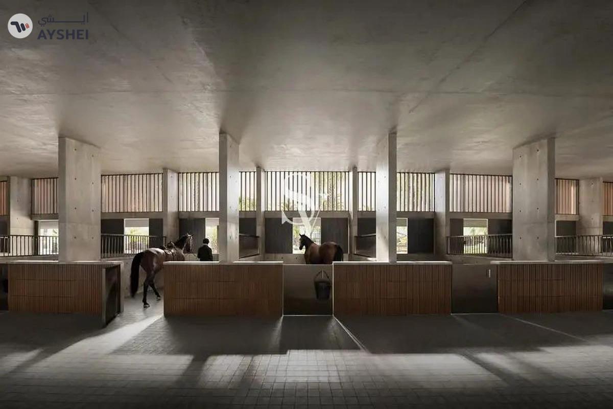 Grand Polo Club & Resort, Dubai Investment Park (DIP), Dubai-12-12