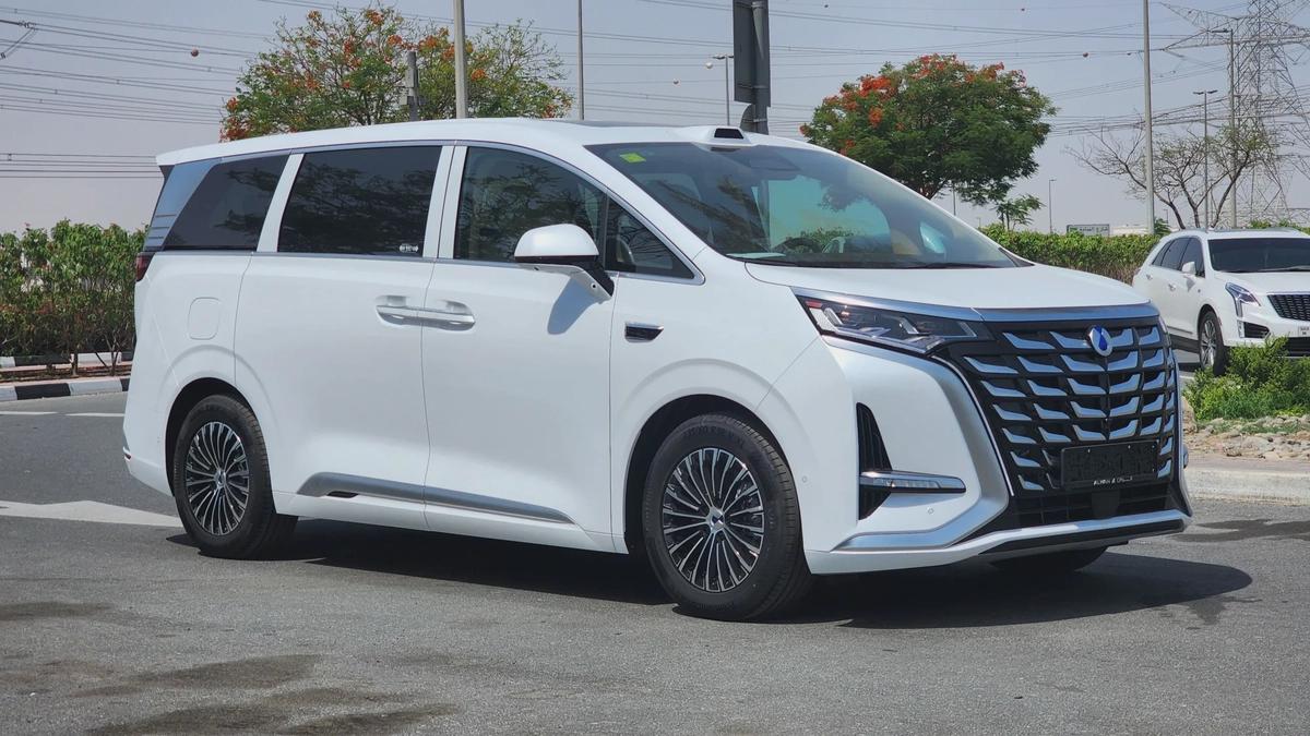 Denza D9 AWD (White)-0-0