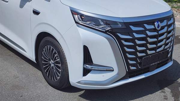Denza D9 AWD (White)