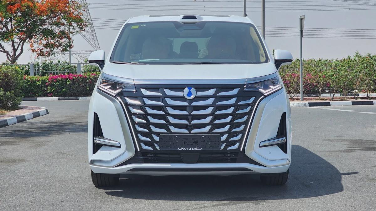 Denza D9 AWD (White)-2-2