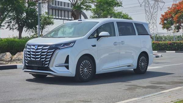 Denza D9 AWD (White)
