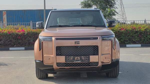 ROX ADAMAS (Gold White)