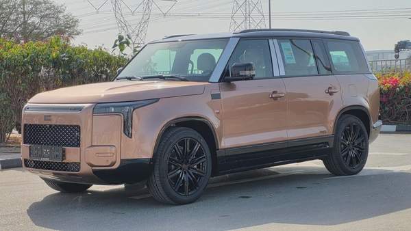 ROX ADAMAS (Gold White)